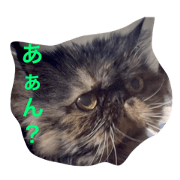 Diane, Persian female