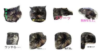 Diane, Persian female