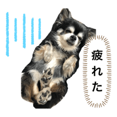 mimi_20210407133645