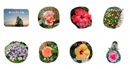 Wisper of Flower Wisper of Flower