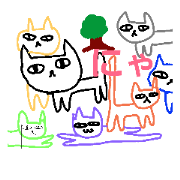 wonderland. wonderland.