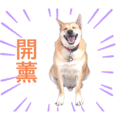 莊家的犬