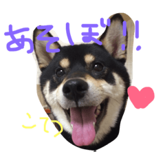 uchinosanbiki