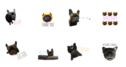 MY NAME IS BUNTA!