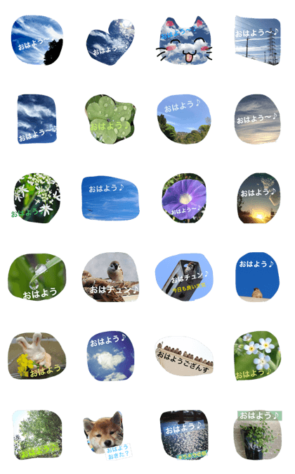 in the morning,various.