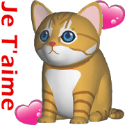 (In French) CG Cat baby (1) (In French) CG Cat baby (1)