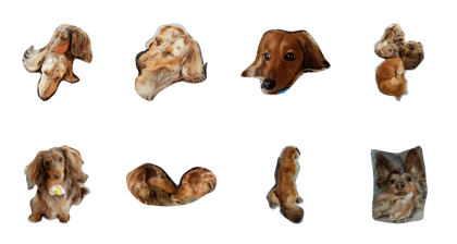 My cute Dachs