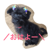 kiribita