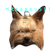 soranostamp