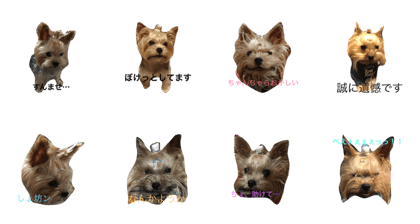 soranostamp
