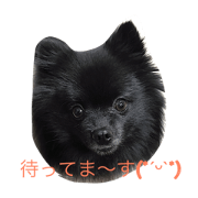CHIRORUNN