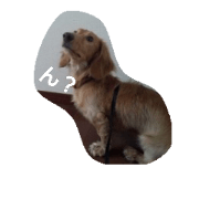 PETSTAMP