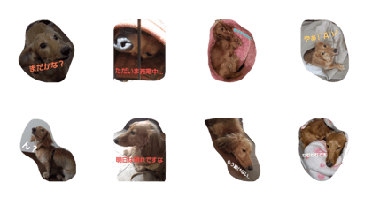 PETSTAMP