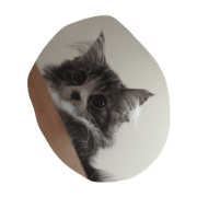 ourcat