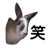 kawaiiaidoru2