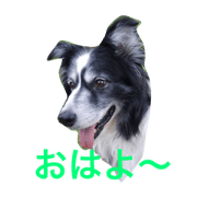 monomonomono