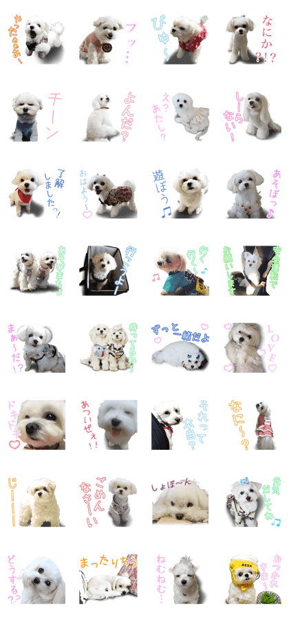 Our Dogs Sticker 7