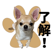 NUTS and KINAKO'S Sticker