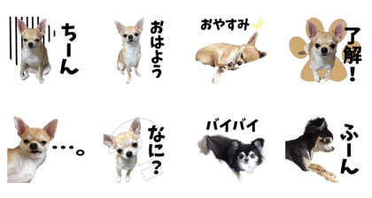 NUTS and KINAKO'S Sticker