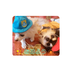 asuka_20210407182841