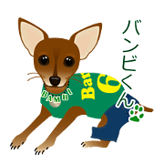 mamepin321*pinscher red[bambi.ver]