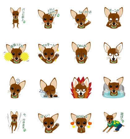 mamepin321*pinscher red[bambi.ver]