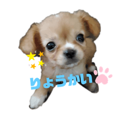 saya_20210407153709