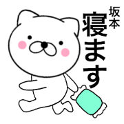Name cat Sakamoto