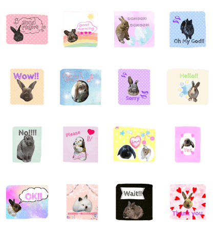 lapin friends