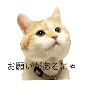 Mame's freak stamp