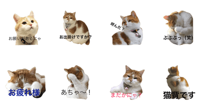 Mame's freak stamp
