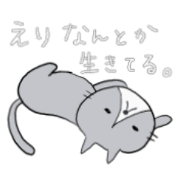 Sticker of eri. cat