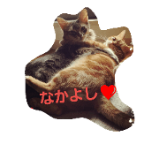 milkyanddaifuku