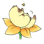 happy Siamese cat