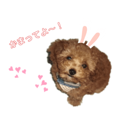 cocoa_20210407181416