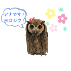 Yamada_20210407200814