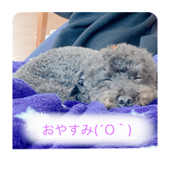 SUZU_20210407205730