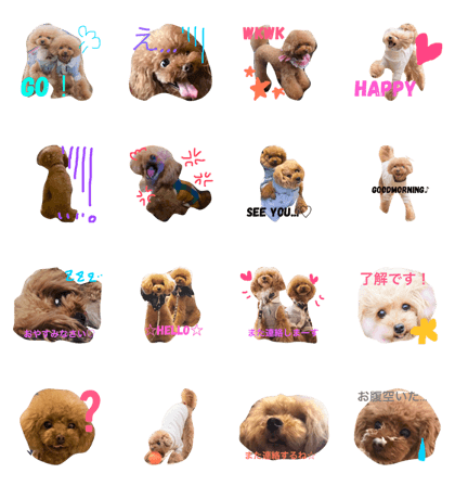 guriguraPoodle