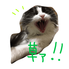 いなり