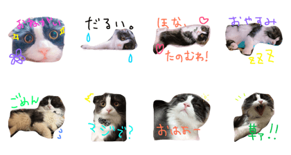 inyari
