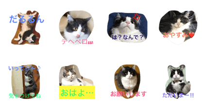 Tired 3cats