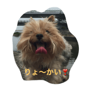 yumi2