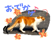ninyan