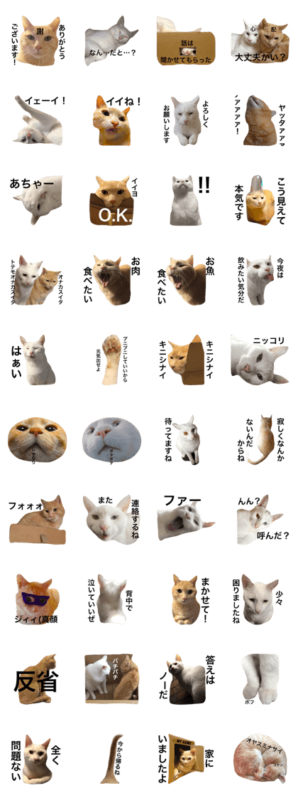 Cute Japanese Cats Sticker