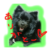 kuropomewan
