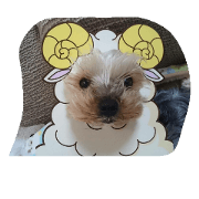 yokeemaron