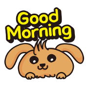 Rabbit Q Baby Taiwan