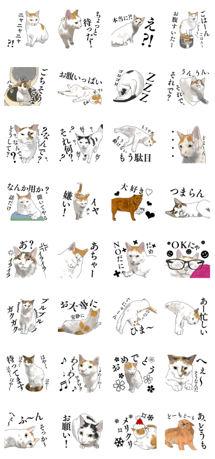 Cats being kept part2