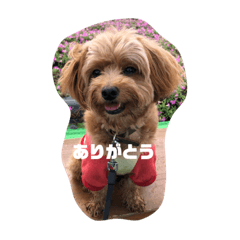 rina_20210408034139