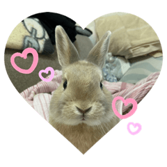 ayumi_20210408075850